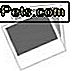 117 Von Star Wars Inspirierte Hundenamen 117 Von Star Wars Inspirierte Hundenamen