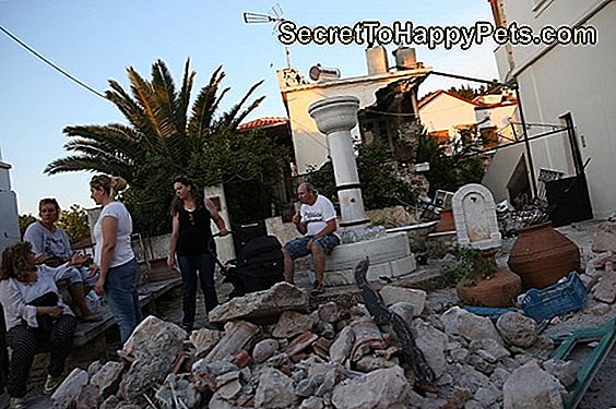 Οι Σεισμοπαθείς Φώναξαν, Οι Σεισμοπαθείς Φώναξαν,