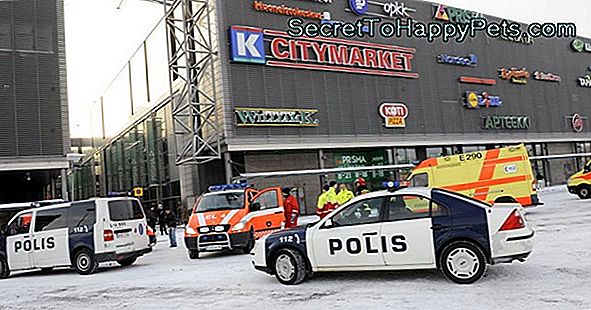 Tuletõrjuja Kass Seadistab Südamed Naeruväärselt Armsa Instagramiga Tuletõrjuja Kass Seadistab Südamed Naeruväärselt Armsa Instagramiga