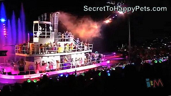 105 Disney Mená Pre Psy 105 Disney Mená Pre Psy