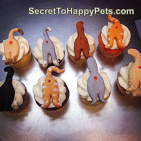 Cupcakes decorate cu mănuși de pisică