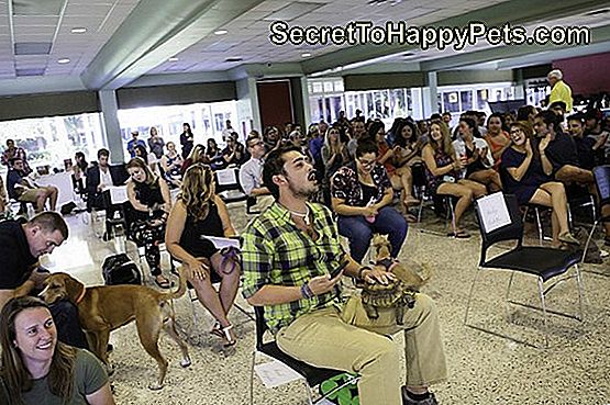 Vysoká škola na Floride oceňuje spoločenské zvieratá slávnostným ukončením štúdia