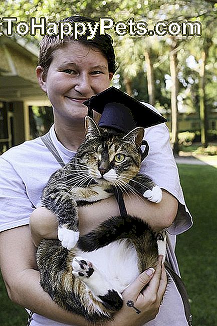 Vysoká škola na Floride oceňuje spoločenské zvieratá slávnostným ukončením štúdia