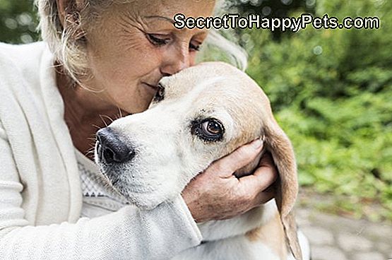 Vesela starejša ženska, ki priklepa svojega psa