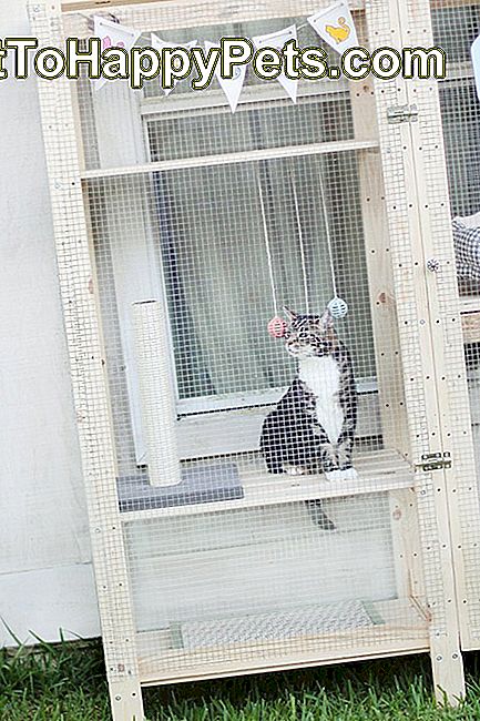 Cómo Convertir Un Estante De Ikea En Un Catio 🐶 