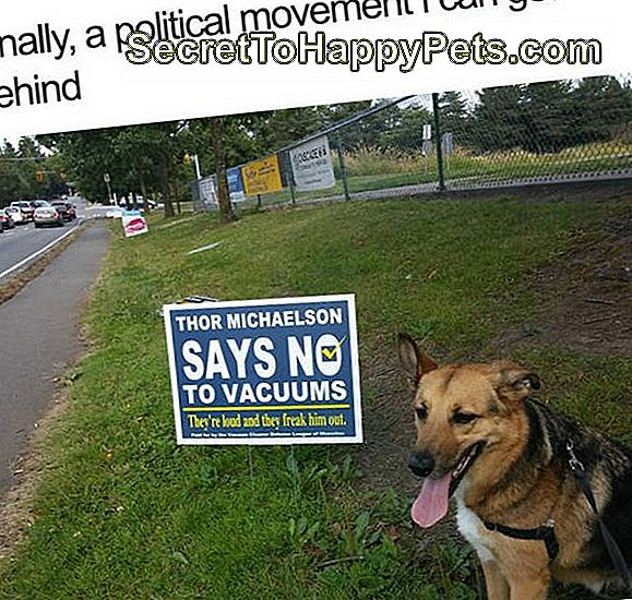 Perro con un signo político contra los vacíos.