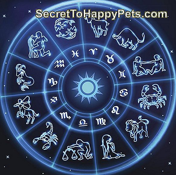 Το Zodiac Αποκαλύπτει Το Ωροσκόπιο Φεβρουαρίου Του Pet Σας