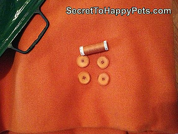 Wie Man Eine Jacke Für Einen Miniaturdackel Herstellt