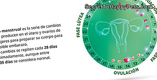 Cuanto dura el ciclo menstrual aproximadamente