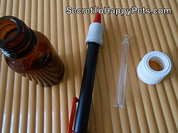 Cómo Construir Bolígrafos Para Patos