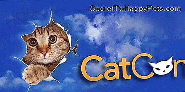 Catcon 2018 Zdvíha Cosplay Do Catplay