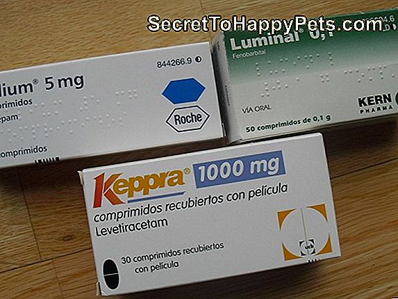 Fenobarbital Overdosis Bij Honden
