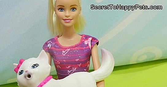 Kedi Barbie At Kutusunda Oturan Bulunduğunda Twitter Şakalar Trots