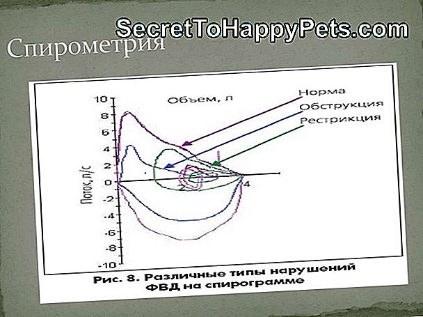 Розшифровка Рухів Собачого Хвоста