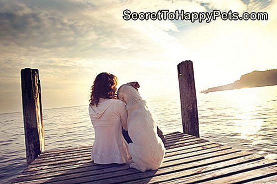 Diskussionsemner for online dating