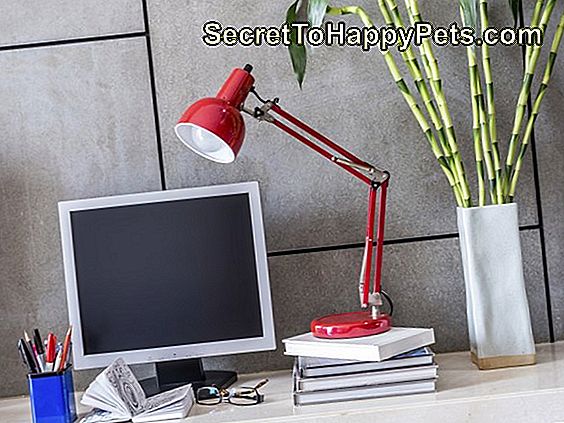 Modern bureau met computer, lamp en vaas met bloemen