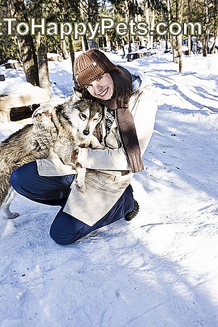 Femeie cu câine de sanie în aer liber în timpul iernii