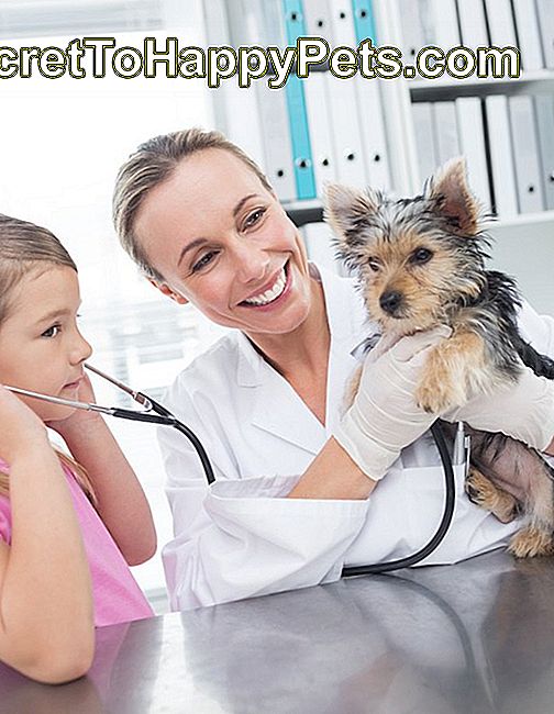 Dierenarts met meisje die puppy in kliniek onderzoeken