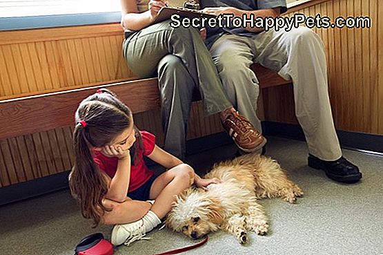 Ģimene ar slimu suni, kas sēž veterinārās klīnikas uzgaidāmajā telpā