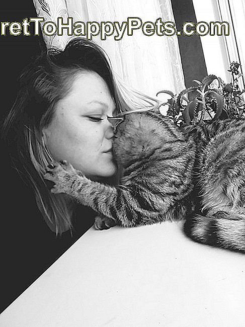 lisse chatte adolescent